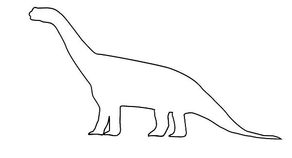 Camarasaurus