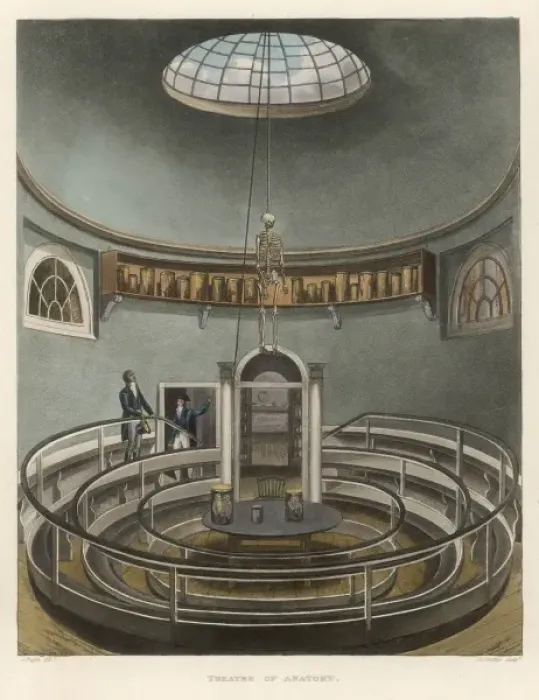 Framed Print : Cambridge Anatomy Theatr Framed Print : Cambridge Anatomy Theatr
