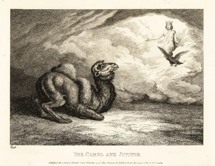 Framed Print : A camel begging Jupiter for horns