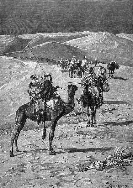 Camel Caravan Desert