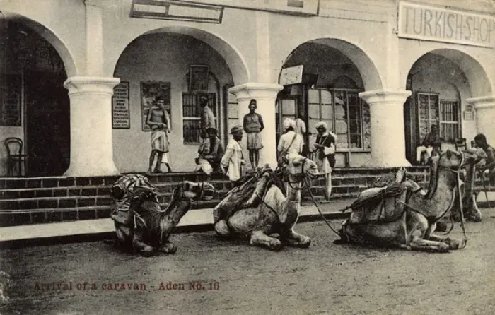 Framed Print : Camel caravan outside Hotel de l Europe, Aden Framed Print : Camel caravan outside Hotel de l Europe, Aden