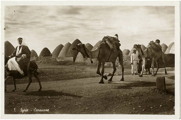 Camel caravan passing through Kafar Tkerime nr Aleppo, Syria