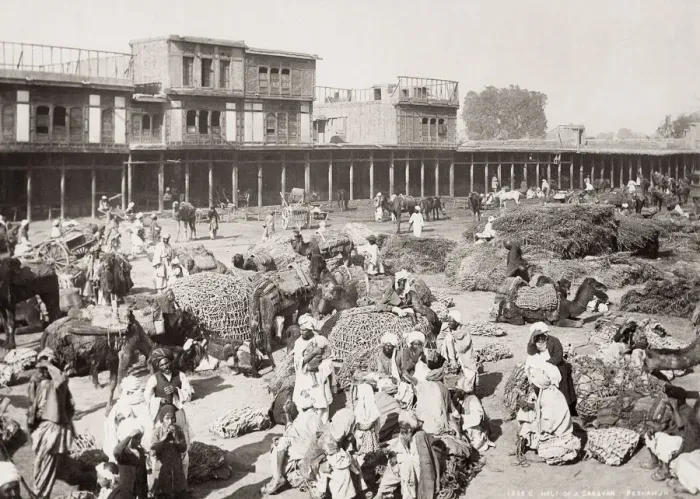 Framed Print : Camel caravan, Peshawar, India, Khyber Province, Pakistan Framed Print : Camel caravan, Peshawar, India, Khyber Province, Pakistan