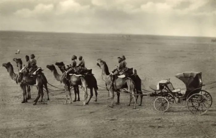 Framed Print : Camel carriage, Bikaner, Thar Desert, Rajasthan, India Framed Print : Camel carriage, Bikaner, Thar Desert, Rajasthan, India