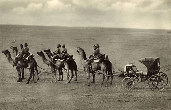 Camel carriage, Bikaner, Thar Desert, Rajasthan, India