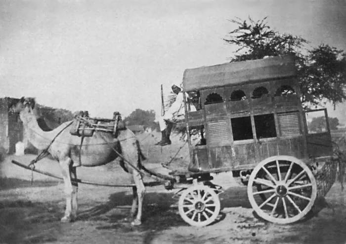 Framed Print : Camel-drawn vehicle, India Framed Print : Camel-drawn vehicle, India