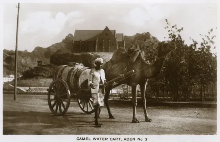 Framed Print : Camel-drawn water cart, Aden Framed Print : Camel-drawn water cart, Aden