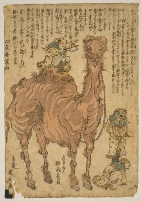 Framed Print : Camel. Japanese print shows a man playing a triangle while seated on the back of a camel Framed Print : Camel. Japanese print shows a man playing a triangle while seated on the back of a camel
