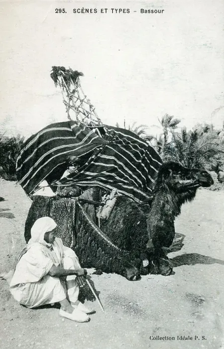 Framed Print : A camel palanquin (covered litter), southern Algeria Framed Print : A camel palanquin (covered litter), southern Algeria