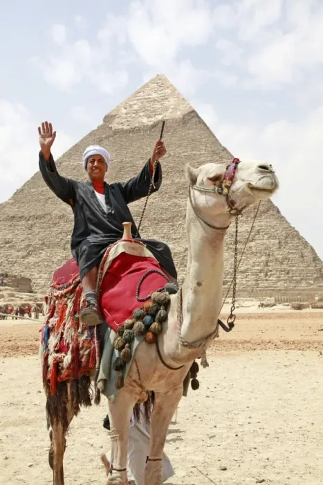 Framed Print : Camel and Pyramid of Khafre in Cairo, Egypt Framed Print : Camel and Pyramid of Khafre in Cairo, Egypt