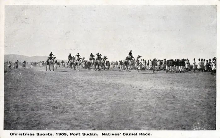Framed Print : Camel Racing - Port Sudan, Sudan - Christmas Sports Framed Print : Camel Racing - Port Sudan, Sudan - Christmas Sports
