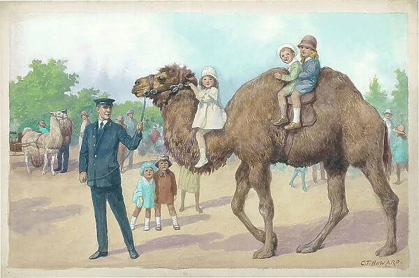 Camel Ride at London Zoo