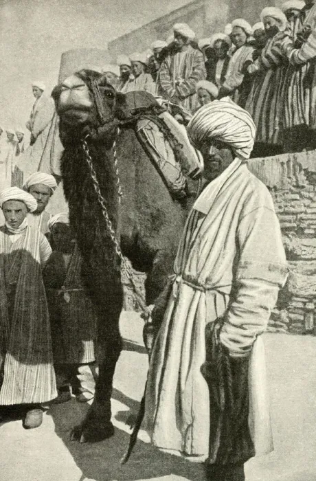 Framed Print : Camel rider in Bukhara, Uzbekistan, Central Asia Framed Print : Camel rider in Bukhara, Uzbekistan, Central Asia