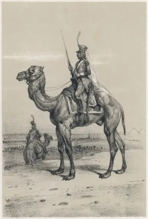 Framed Print : Camel & Rider Egypt 18C Framed Print : Camel & Rider Egypt 18C