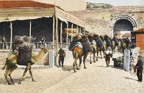 A camel train - Constantinople