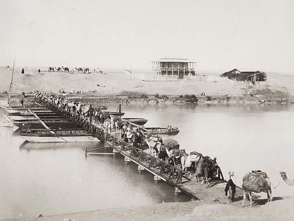 Camel train crossing a pontoon bridge River Nile, Egypt