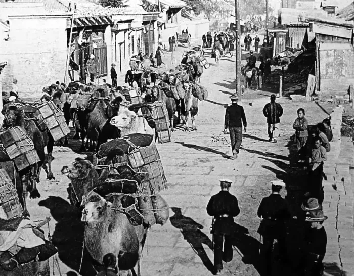 Framed Print : Camel train in Peking, China in the early 1900s Framed Print : Camel train in Peking, China in the early 1900s