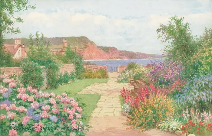 Framed Print : Camellia Walk, Connaught Gardens, Sidmouth Framed Print : Camellia Walk, Connaught Gardens, Sidmouth