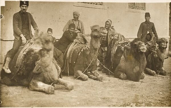 Camels at rest - Constantinople
