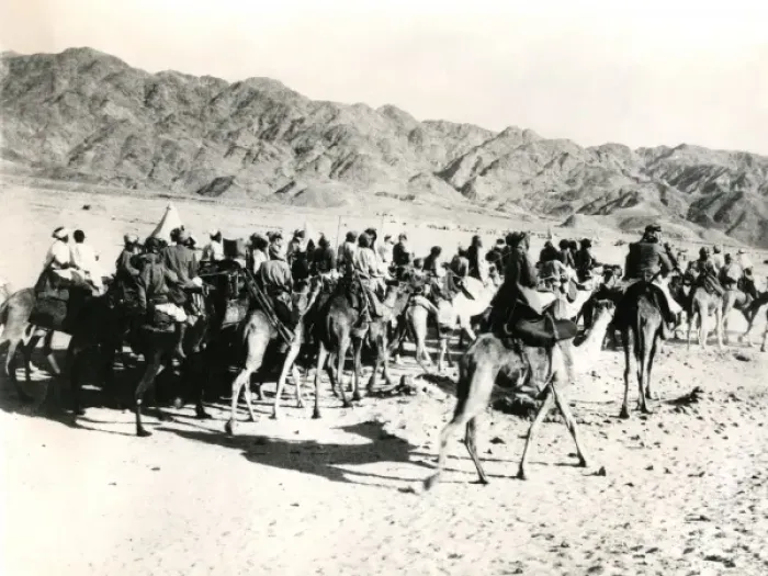 Framed Print : Camels and riders, Mesopotamia, WW1 Framed Print : Camels and riders, Mesopotamia, WW1