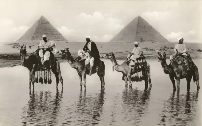 Framed Print : Camels and riders near the Pyramids, Egypt Framed Print : Camels and riders near the Pyramids, Egypt