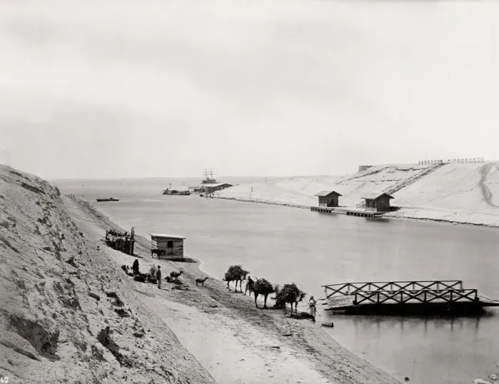 Framed Print : Camels along the side of the Suez Canal, Egypt Framed Print : Camels along the side of the Suez Canal, Egypt
