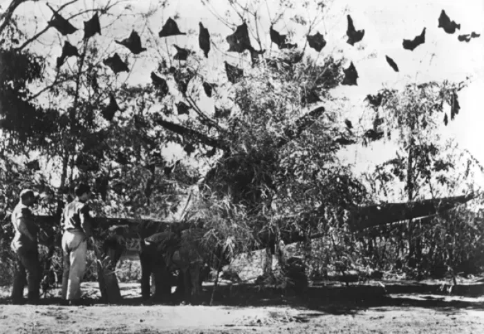 Framed Print : Camouflaged US fighter plane in China Framed Print : Camouflaged US fighter plane in China