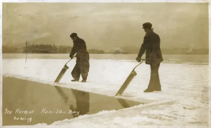 Framed Print : Canada - Hamilton Bay - Ice Harvest - Sawing ice sheet Framed Print : Canada - Hamilton Bay - Ice Harvest - Sawing ice sheet