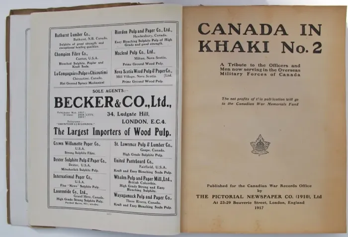 Framed Print : Canada in Khaki No 2 Framed Print : Canada in Khaki No 2