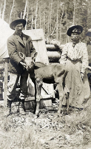 Canada - Montreal River - Indian couple with young moose. Date: circa 1908