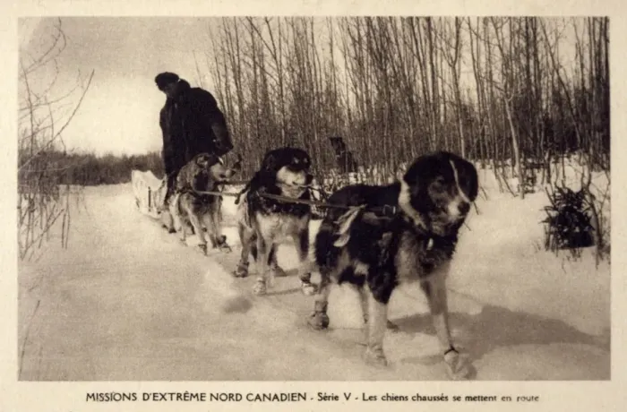 Framed Print : Canadian Dog Sleigh Framed Print : Canadian Dog Sleigh