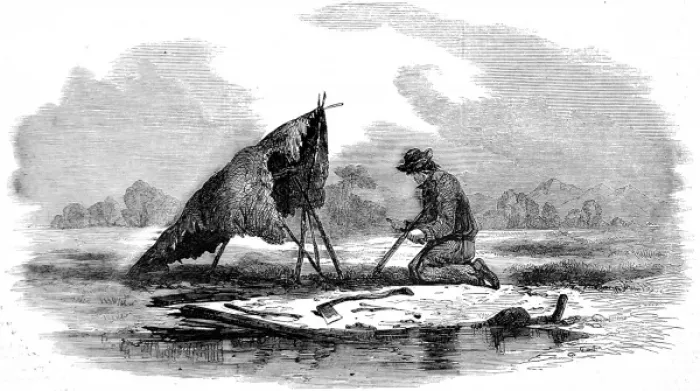 Framed Print : Canadian guide making a canoe, 1858 Framed Print : Canadian guide making a canoe, 1858
