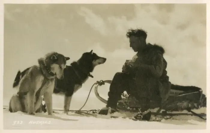 Framed Print : Canadian man sitting on his sled with his two huskies Framed Print : Canadian man sitting on his sled with his two huskies