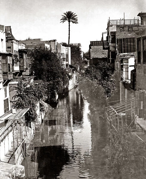 Canal, Cairo, circa 1880s