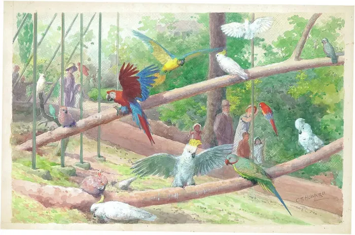 Framed Print : The Canalbank Aviary Cockatoos Macaws and Parrots Framed Print : The Canalbank Aviary Cockatoos Macaws and Parrots
