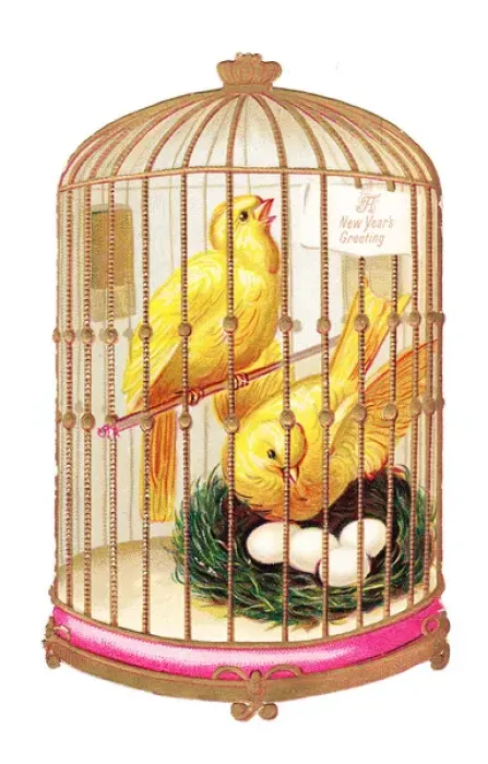Framed Print : Two canaries in a cage on a cutout New Year card