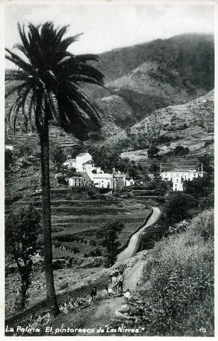 Framed Print : Canary Islands Framed Print : Canary Islands