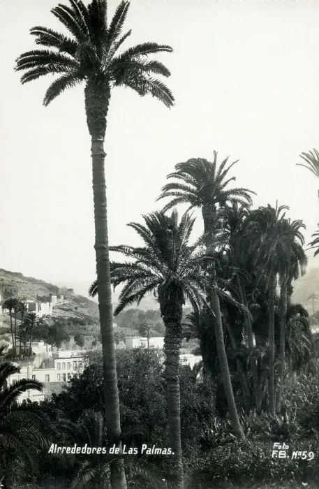 Framed Print : Canary Islands - Canary Islands - The surroundings of Las Pa Framed Print : Canary Islands - Canary Islands - The surroundings of Las Pa