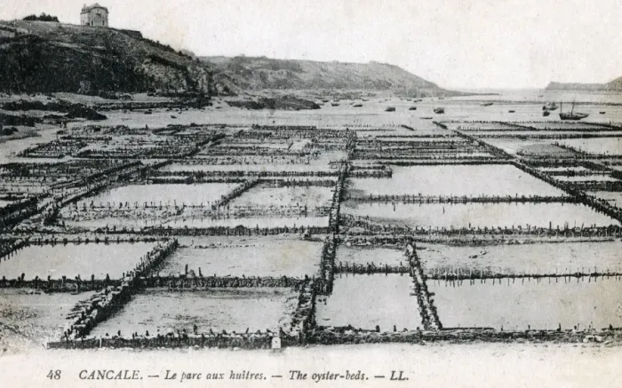 Framed Print : Cancale, Brittany, France - The Oyster Beds Framed Print : Cancale, Brittany, France - The Oyster Beds