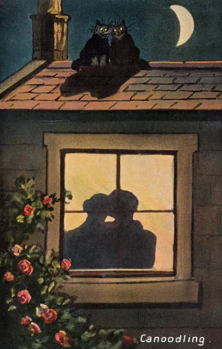 Framed Print : Canoodling Framed Print : Canoodling