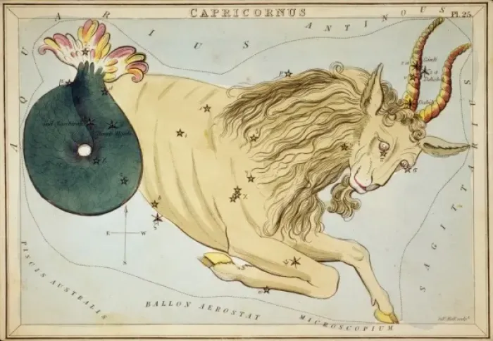 Framed Print : Capricornus Framed Print : Capricornus