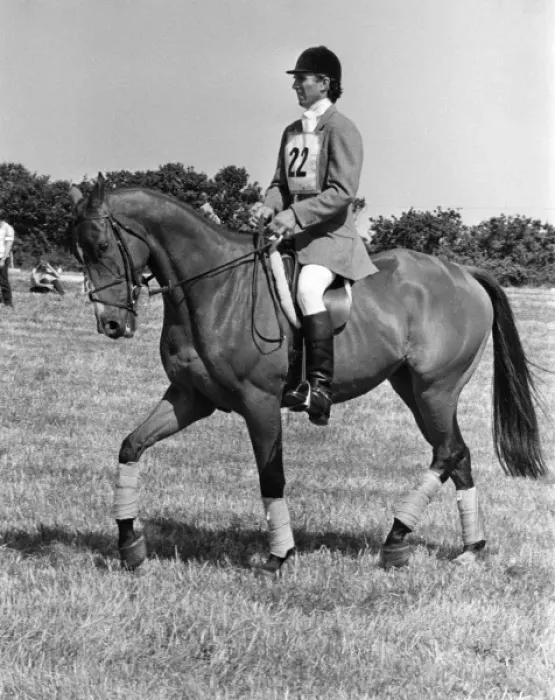 Framed Print : Captain Mark Phillips - Dressage competition Framed Print : Captain Mark Phillips - Dressage competition
