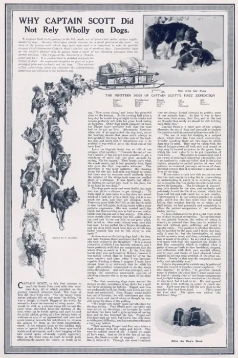 Framed Print : Why Captain Scott did not rely wholly on dogs Framed Print : Why Captain Scott did not rely wholly on dogs