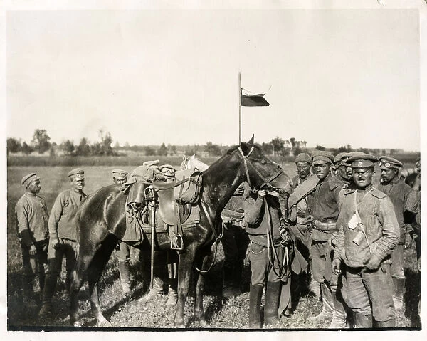 Captured horse of a German cavalry officer, World War I