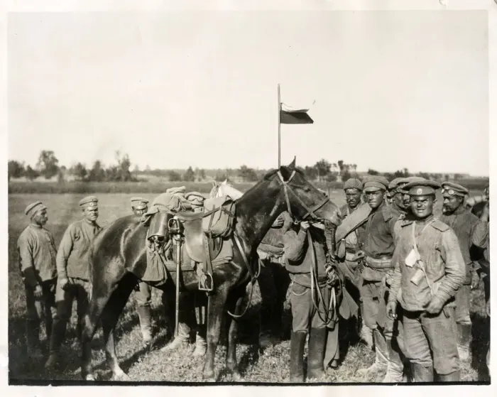 Framed Print : Captured horse of a German cavalry officer, World War I Framed Print : Captured horse of a German cavalry officer, World War I
