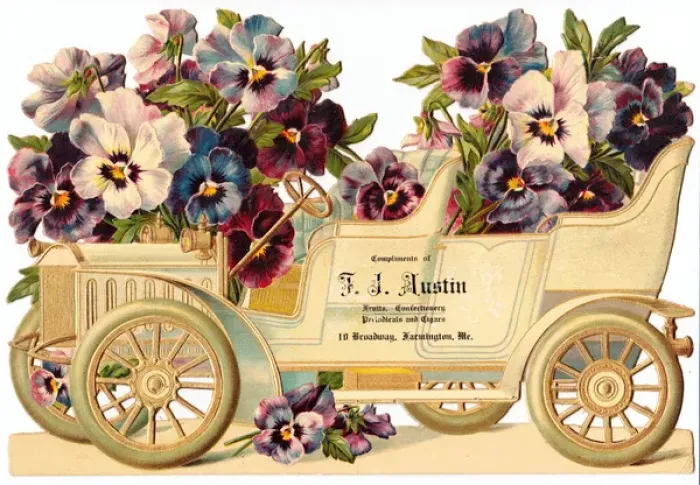 Framed Print : Car full of pansies on an American scrap Framed Print : Car full of pansies on an American scrap