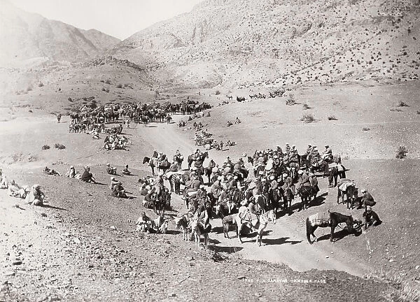 Caravan heading into the Khyber Pass, North West Frontier