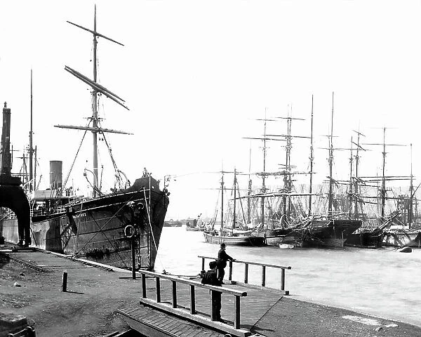 Cardiff Docks, Victorian period