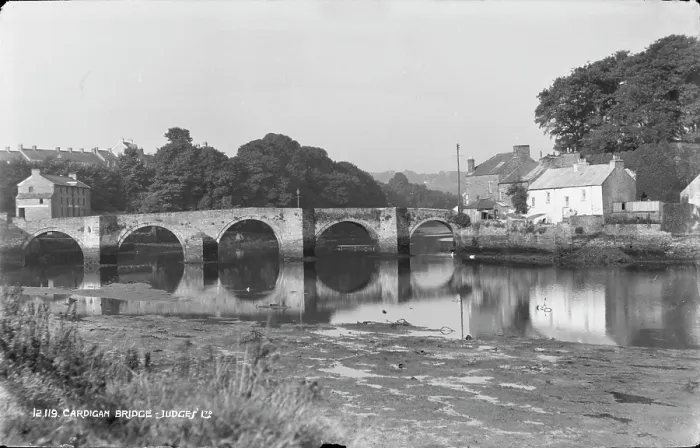 Framed Print : Cardigan Bridge Framed Print : Cardigan Bridge