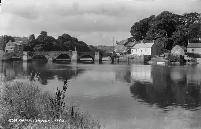Framed Print : Cardigan Bridge Framed Print : Cardigan Bridge